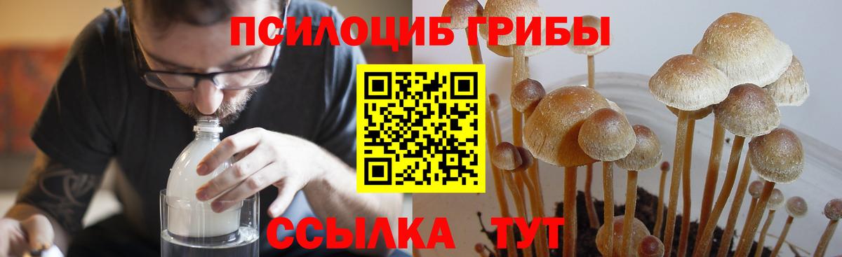 Галлюциногенные грибы MAGIC MUSHROOMS  сколько стоит  Семилуки  Вход с VPN 